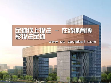 案例展示四(图1) 案例展示四(图1)
