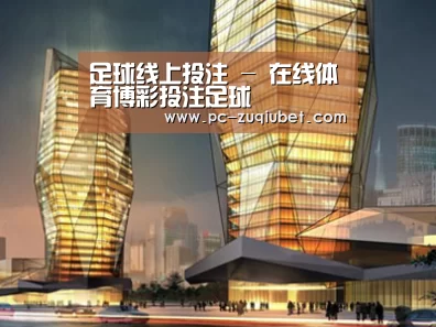 案例展示三(图1) 案例展示三(图1)