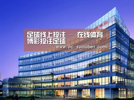 案例展示五