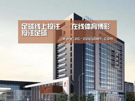 案例展示七