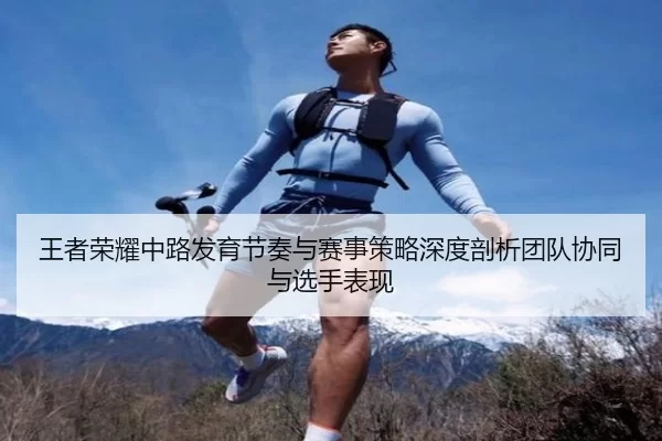 王者荣耀中路发育节奏与赛事策略深度剖析团队协同与选手表现